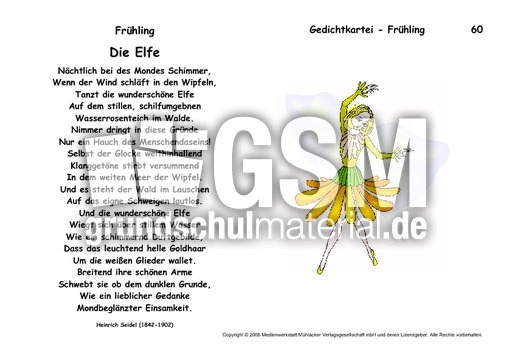 Die-Elfe-Seidel.pdf